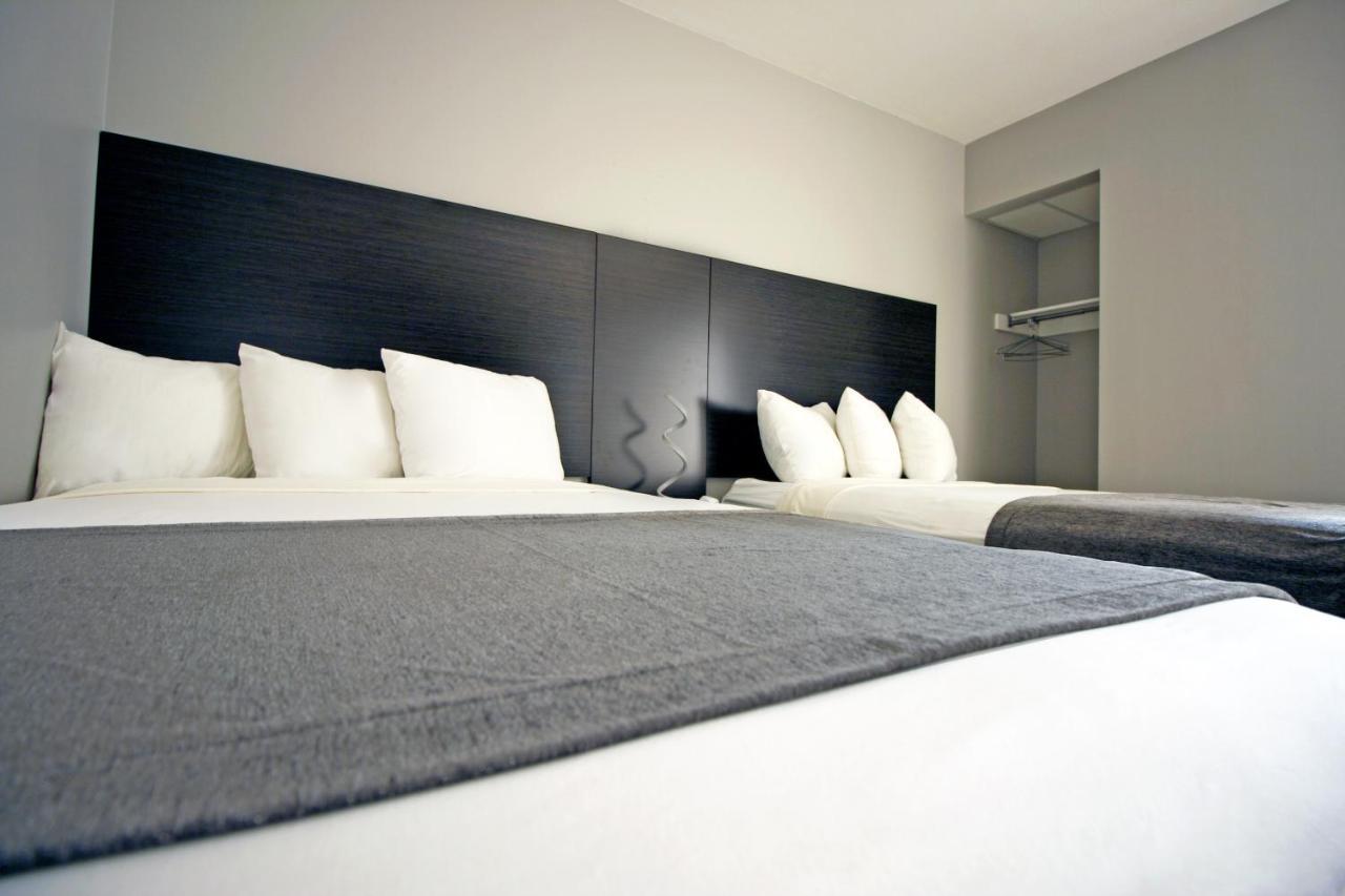 One-Bedroom Suite Sofa Bed,1037152261:JPEG