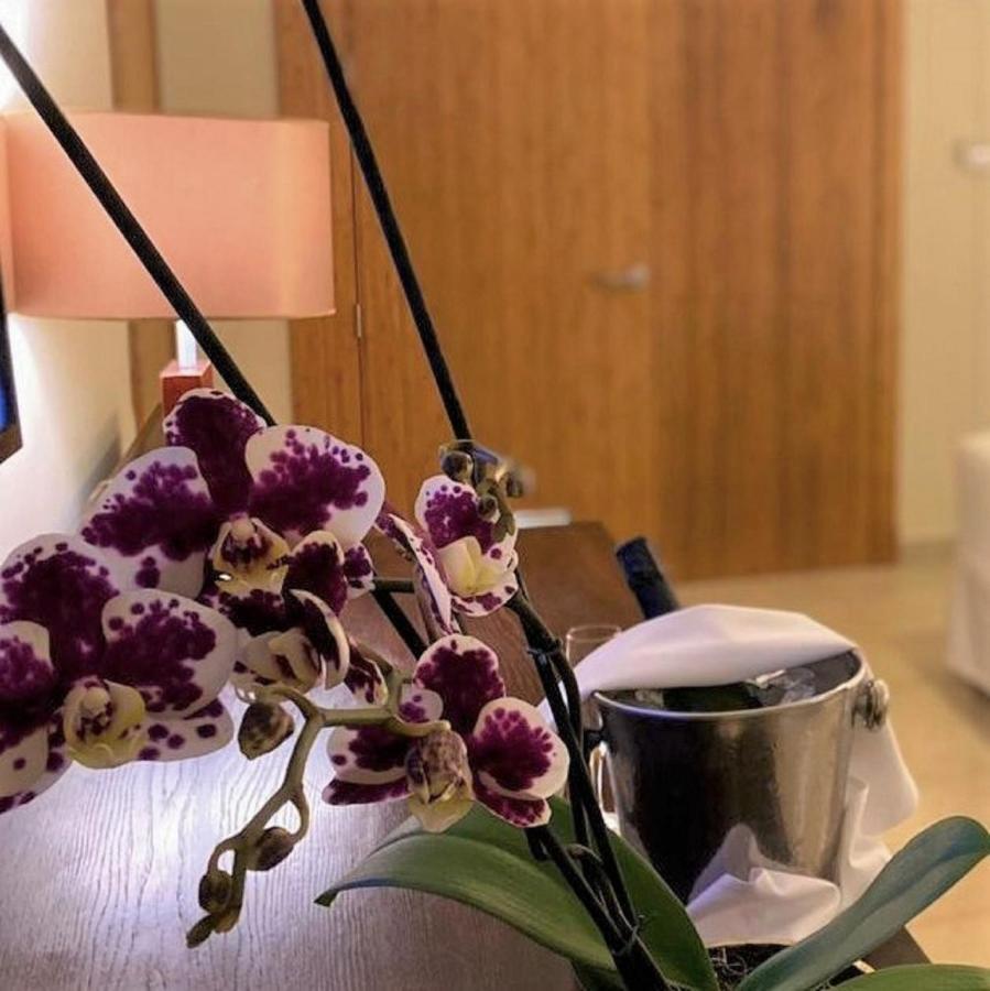 Allure Junior Suite Tropical View King,1085297434:JPEG