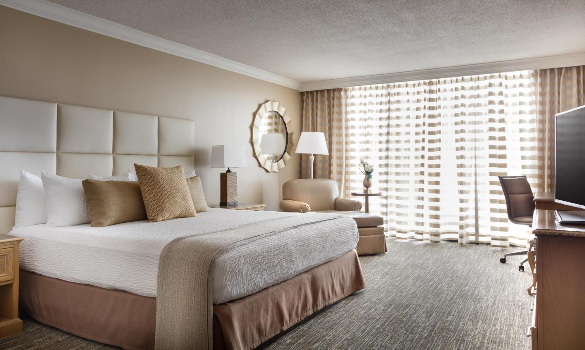 VIP King Room,1694551018:JPEG