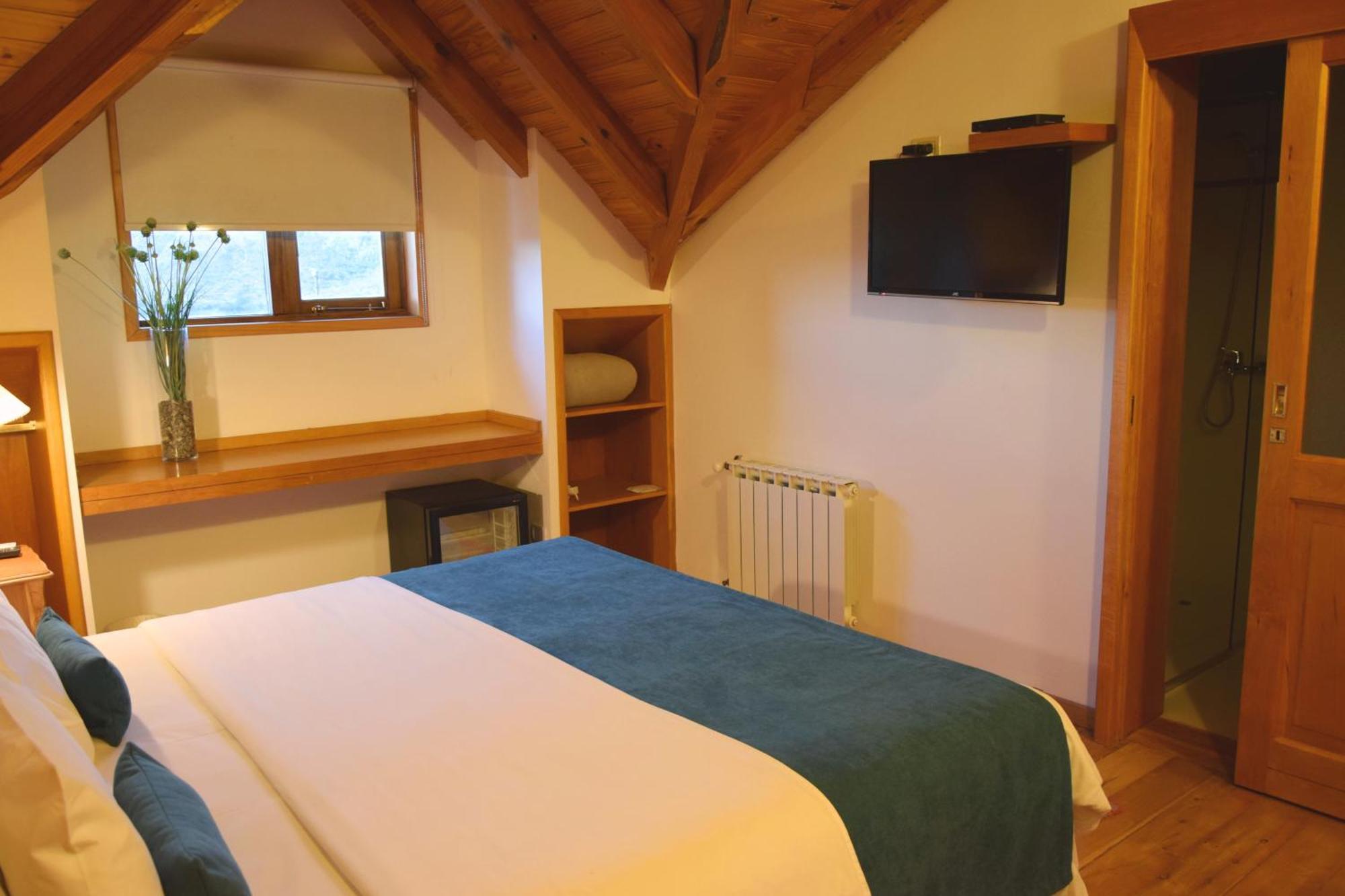 Budget Double or Twin Room