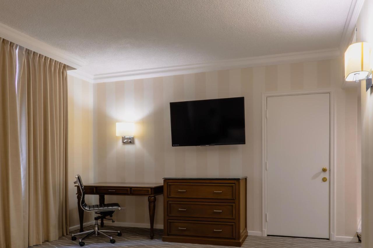 Executive King Room,1706808030:JPEG