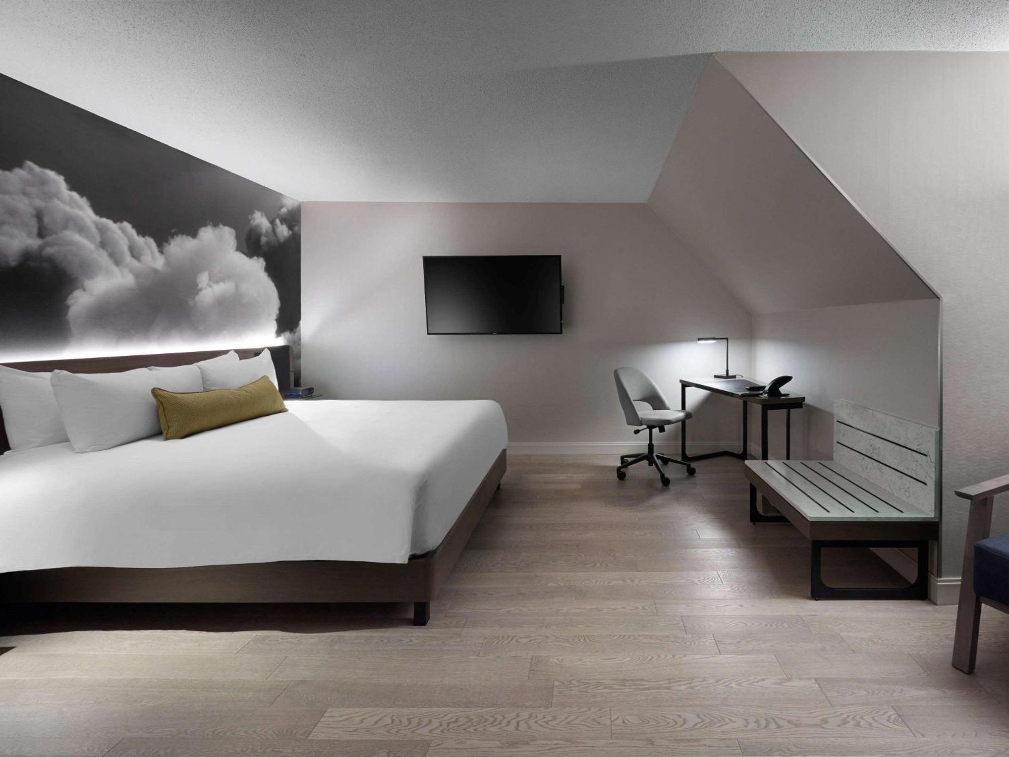 Executive Junior Suite,750675314:JPEG
