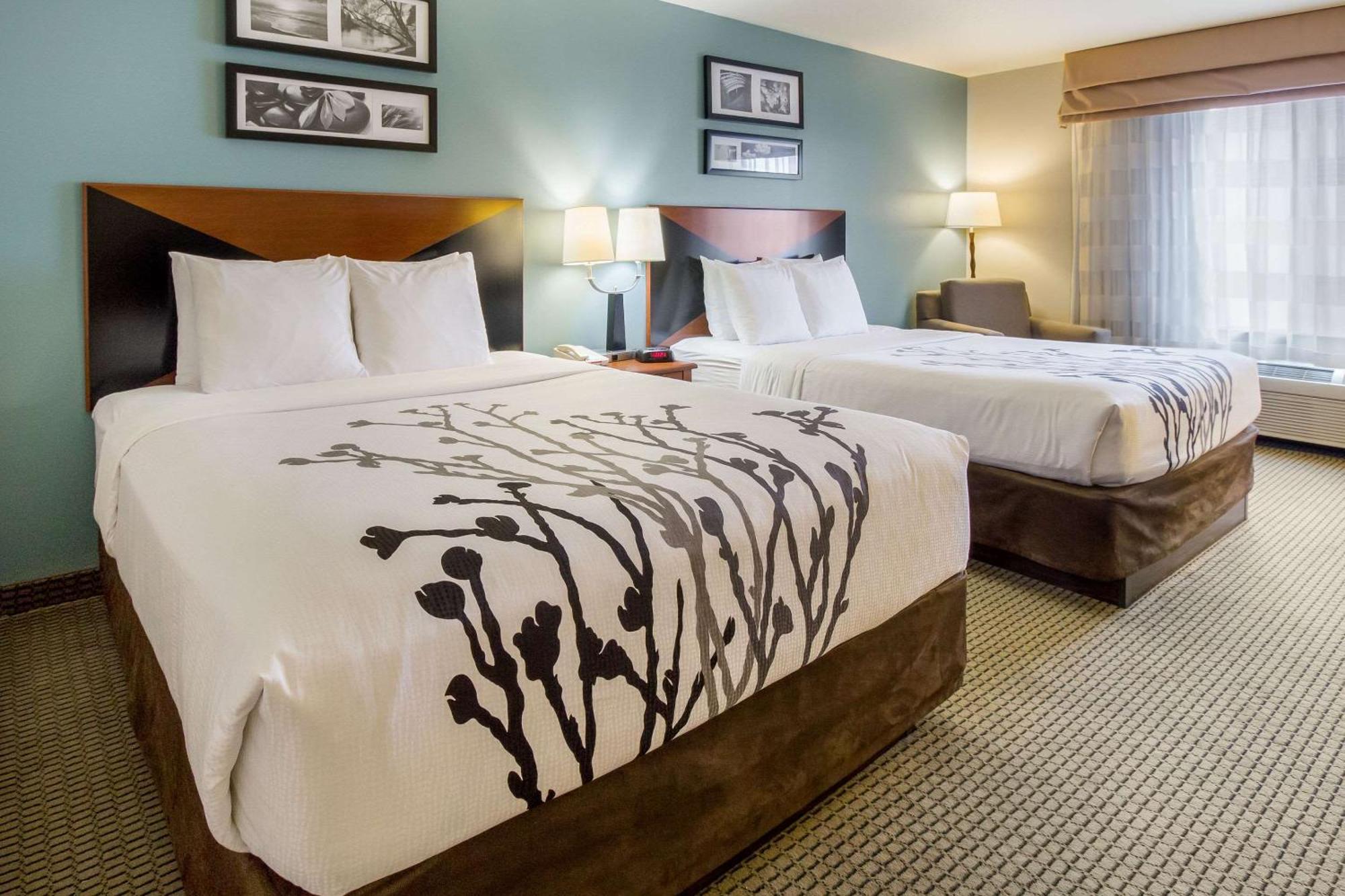 Standard Queen Room with Two Queen Beds - Non-Smoking,1280441107:JPEG