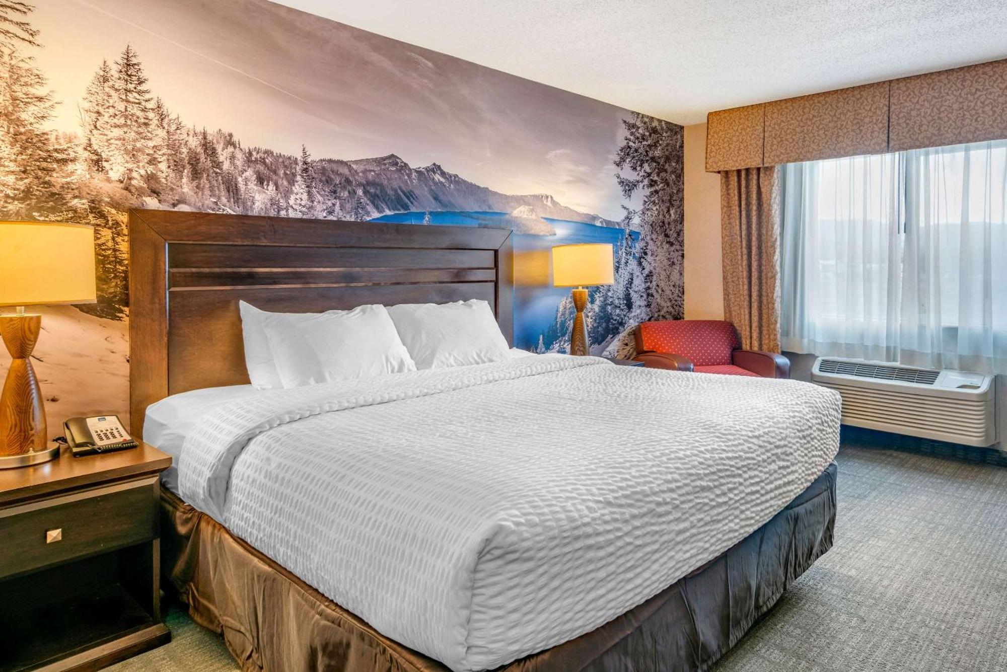 King Room - Non-Smoking,1281239053:JPEG