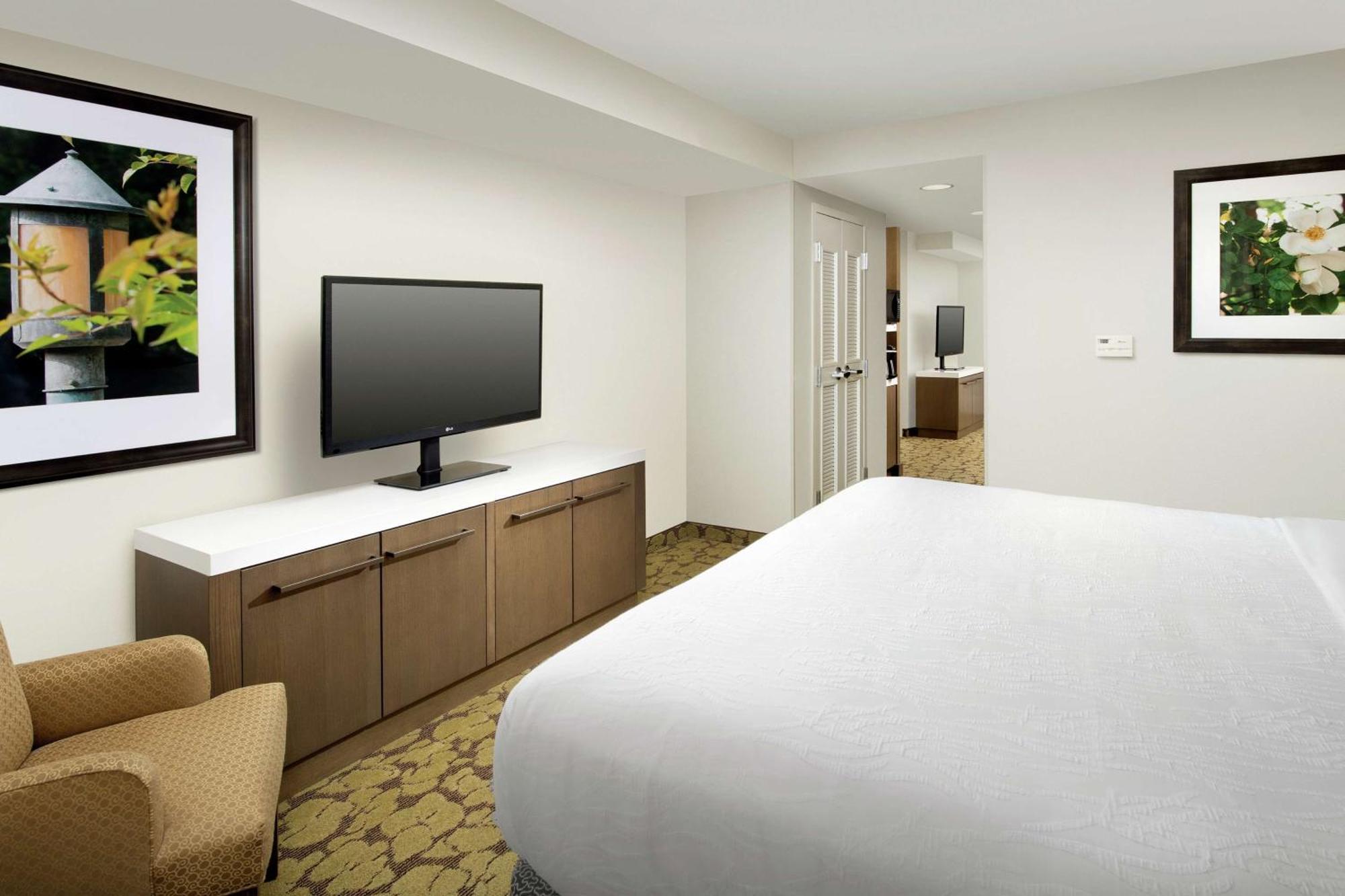 Junior King Suite with Sofa Bed,1281262132:JPEG