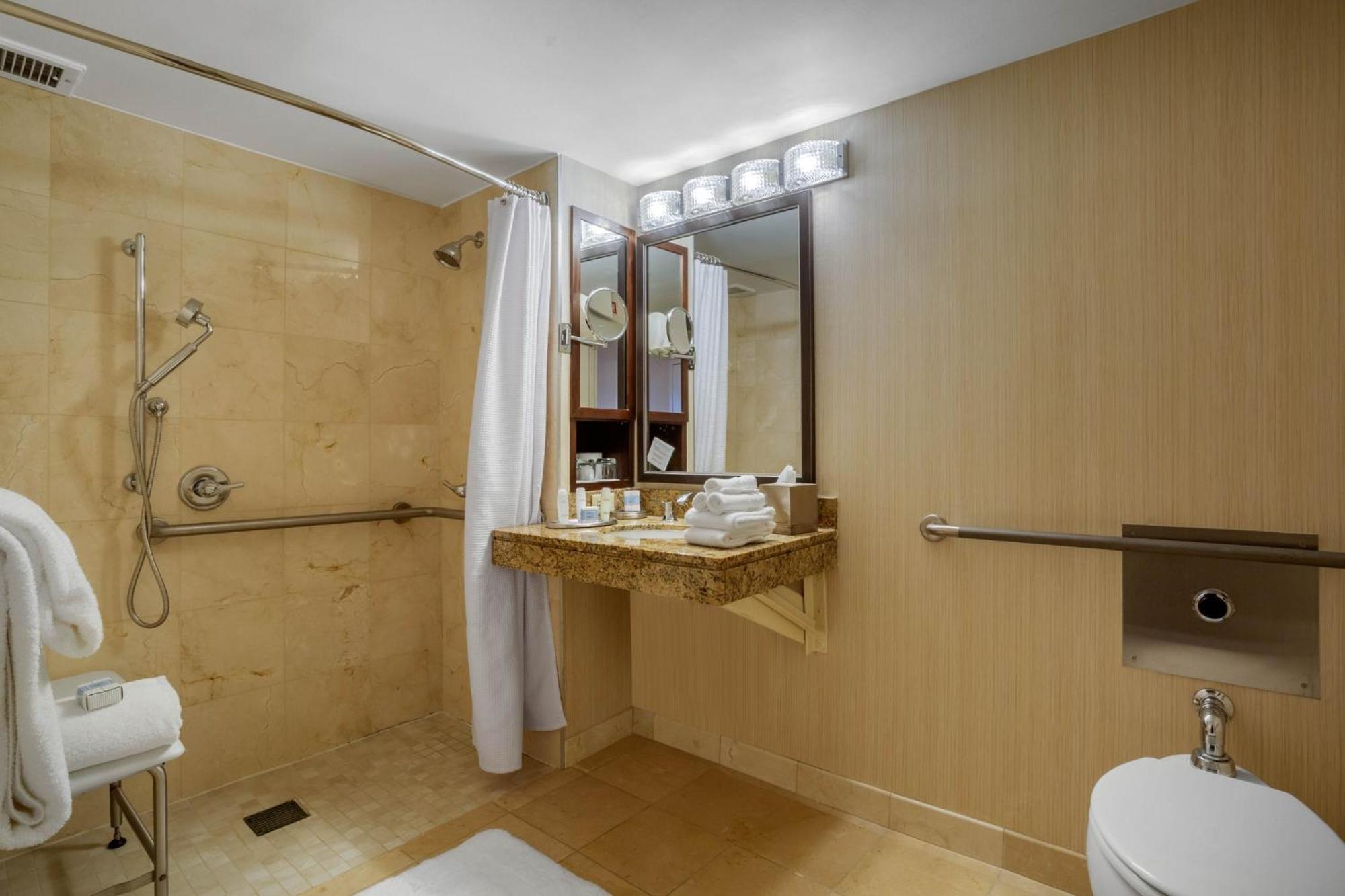 Accessible Deluxe Room with Roll-In Shower 1 Queen Bed,1283714605:JPEG