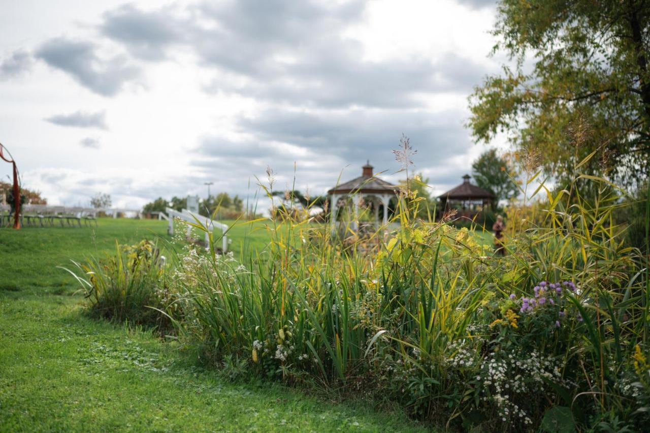 Standard King Room,1386658991:JPEG