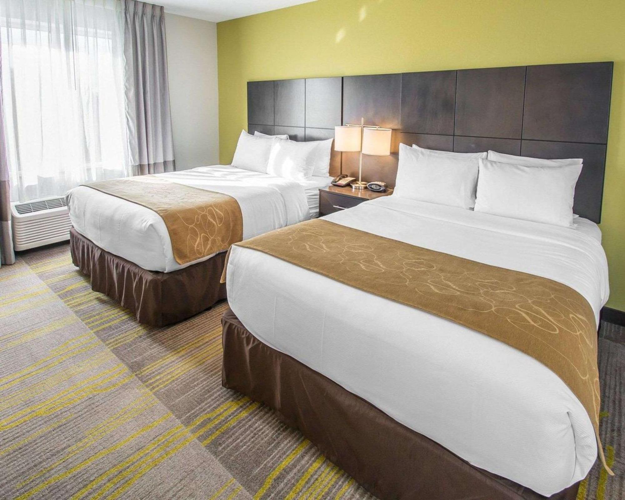 Queen Suite - Disability Access/Non-Smoking,1435275520:JPEG