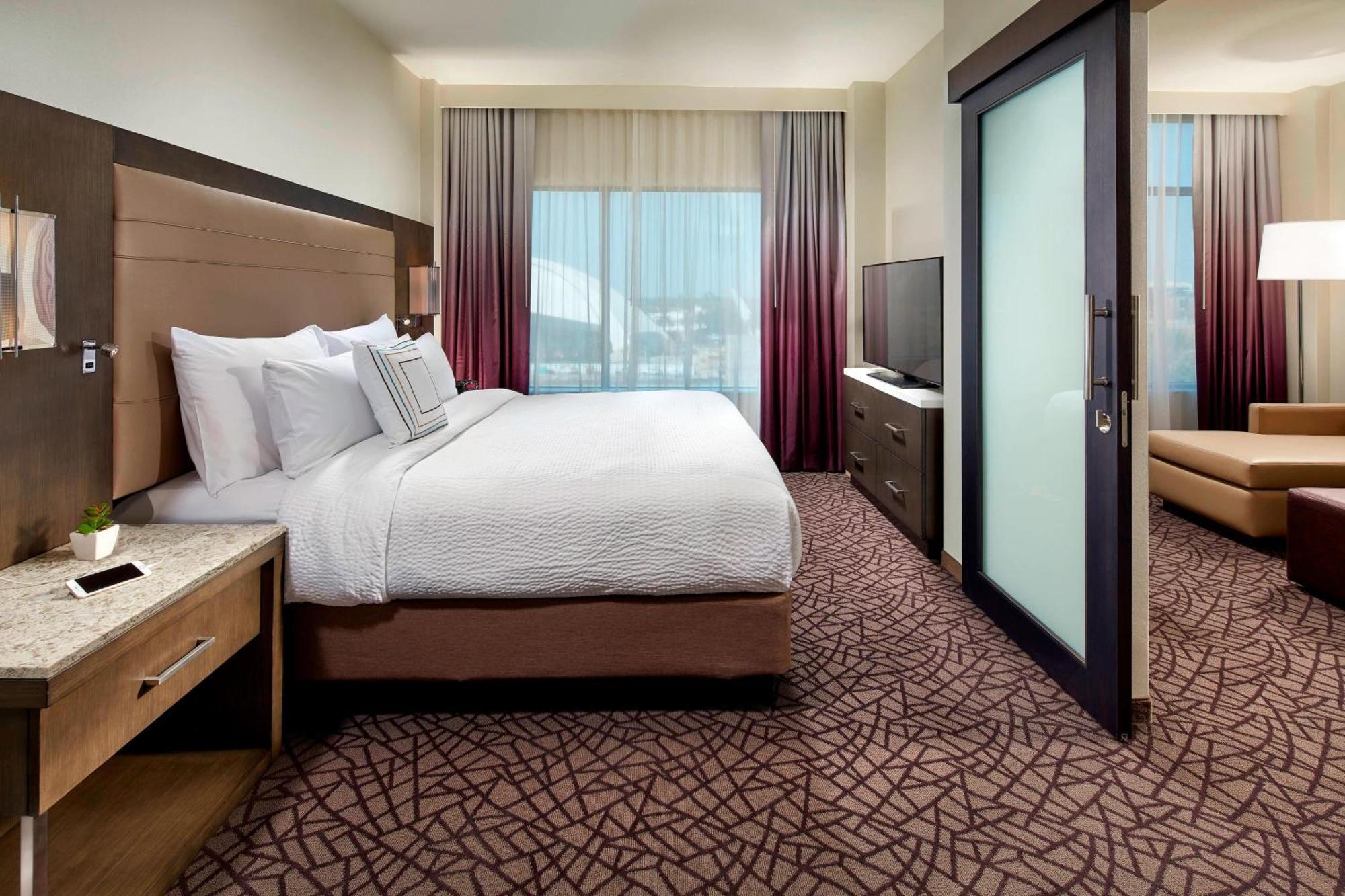One Bedroom 1 King City View Suite with Sofa Bed