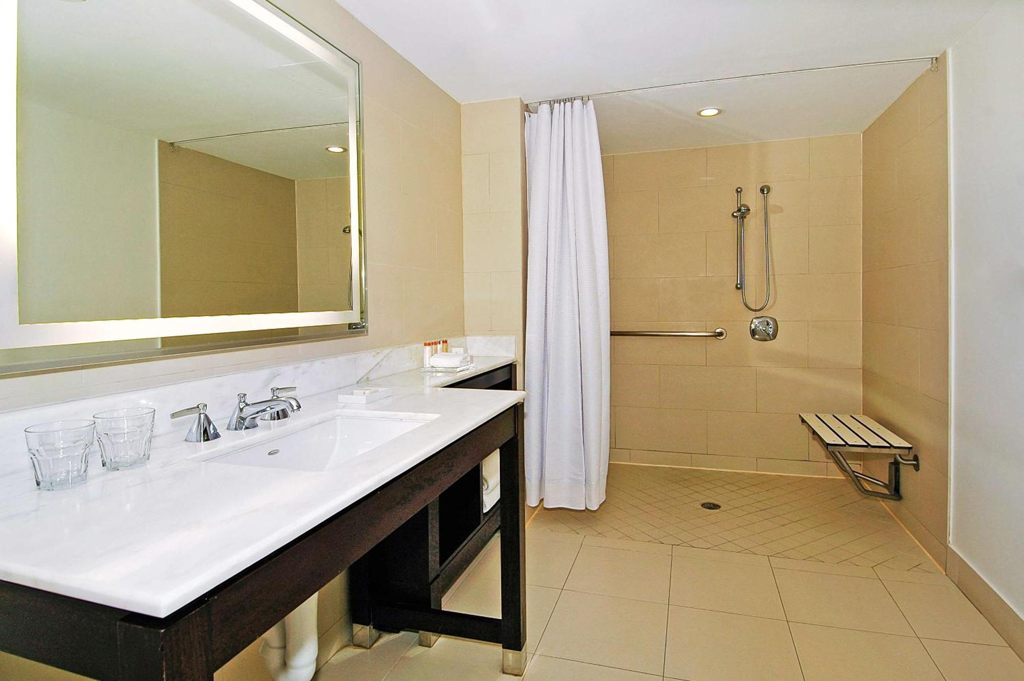 King Room Mobility or Hearing Accessible Roll Shower,1277805487:JPEG