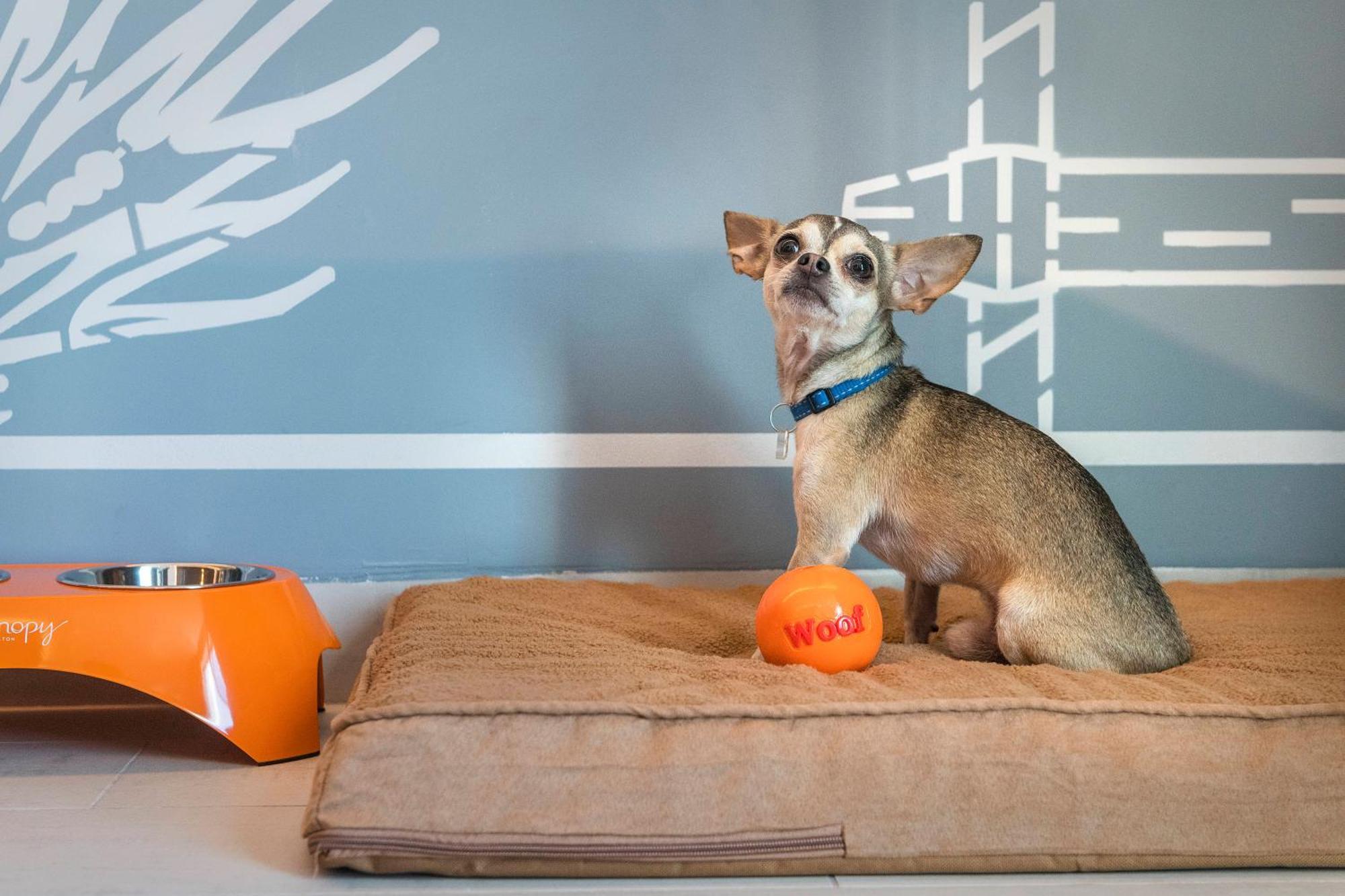 Deluxe Double Room with Sea View,1557104218:JPEG