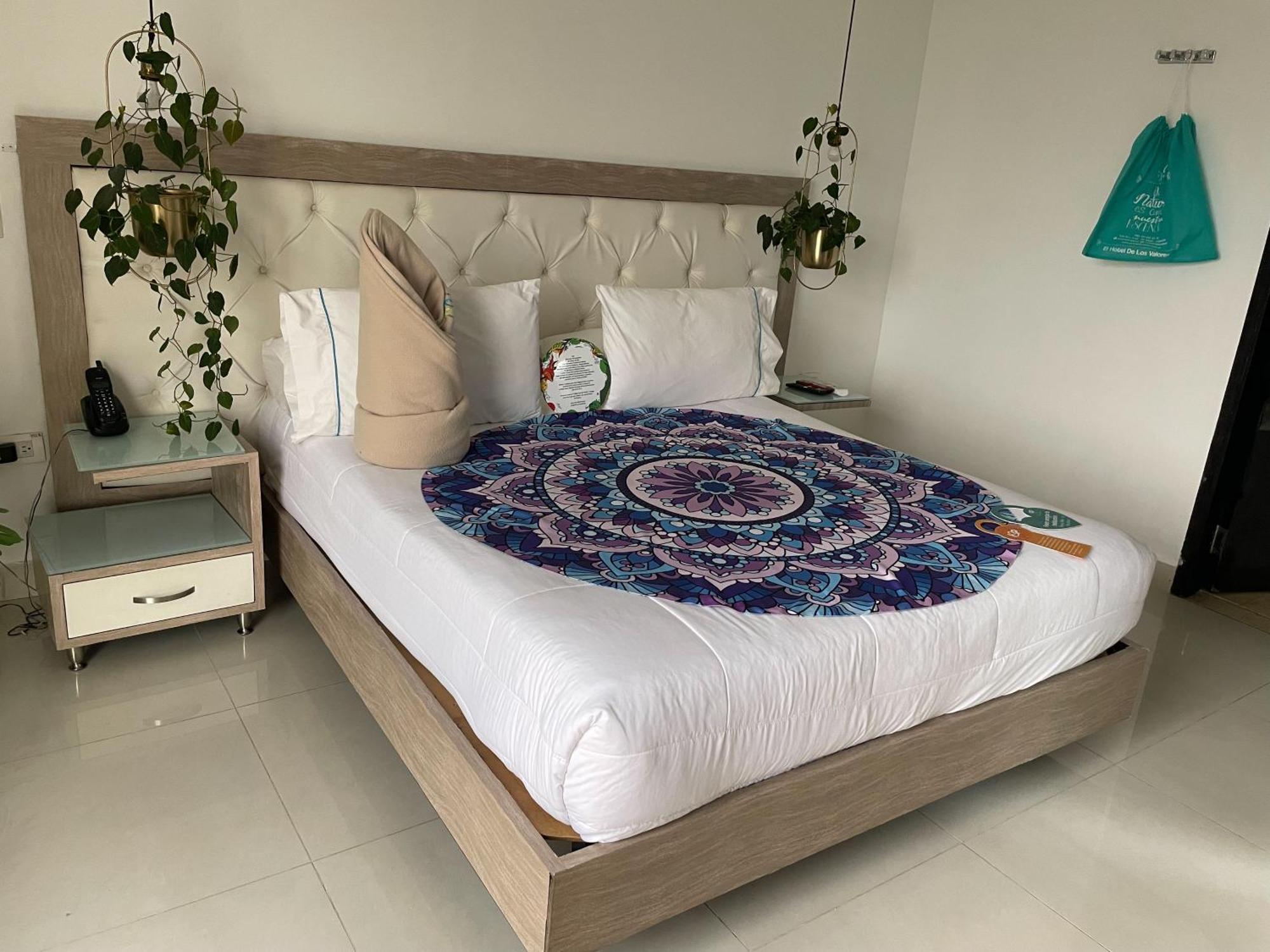 Junior Suite,1566960131:JPEG