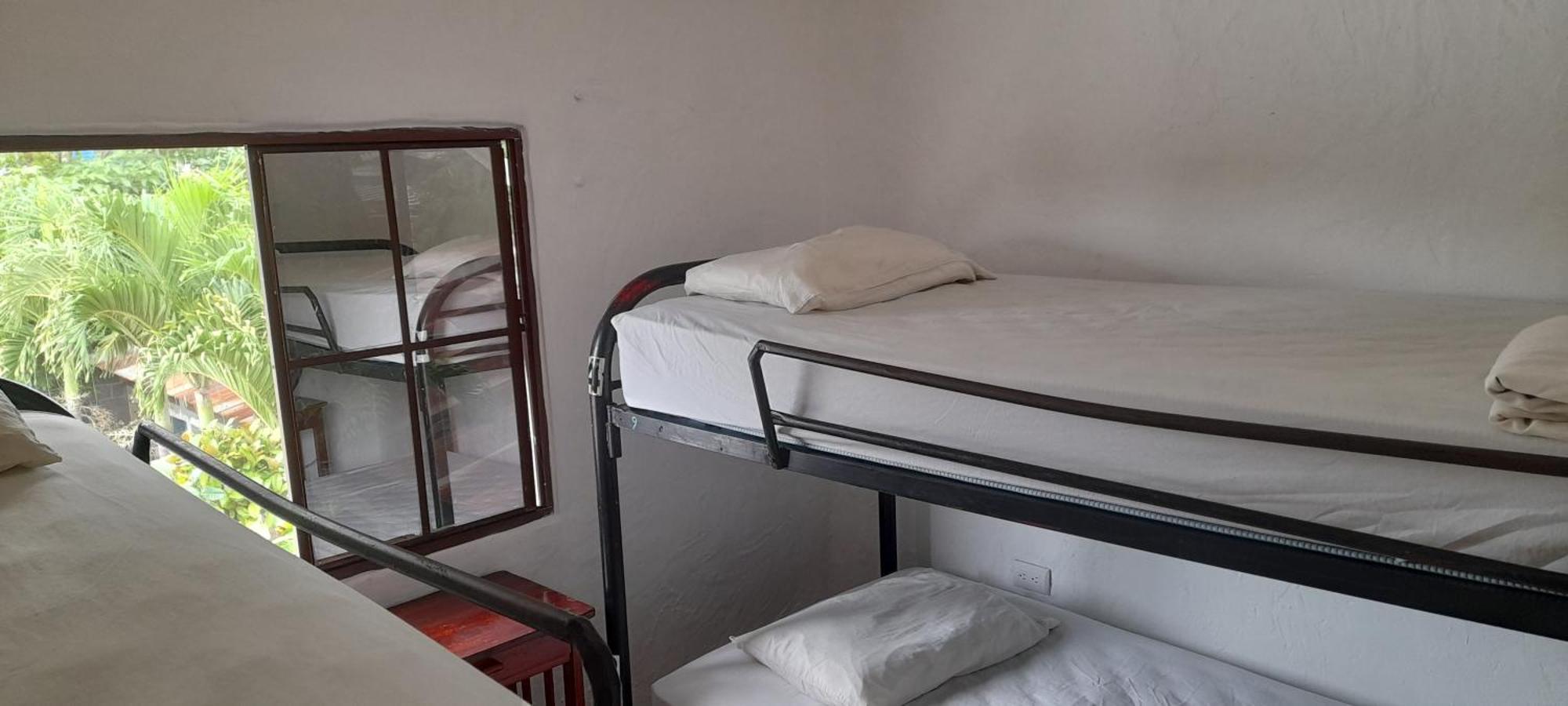 Single Bed 4-Bed Dormitory Room,1722990104:JPEG
