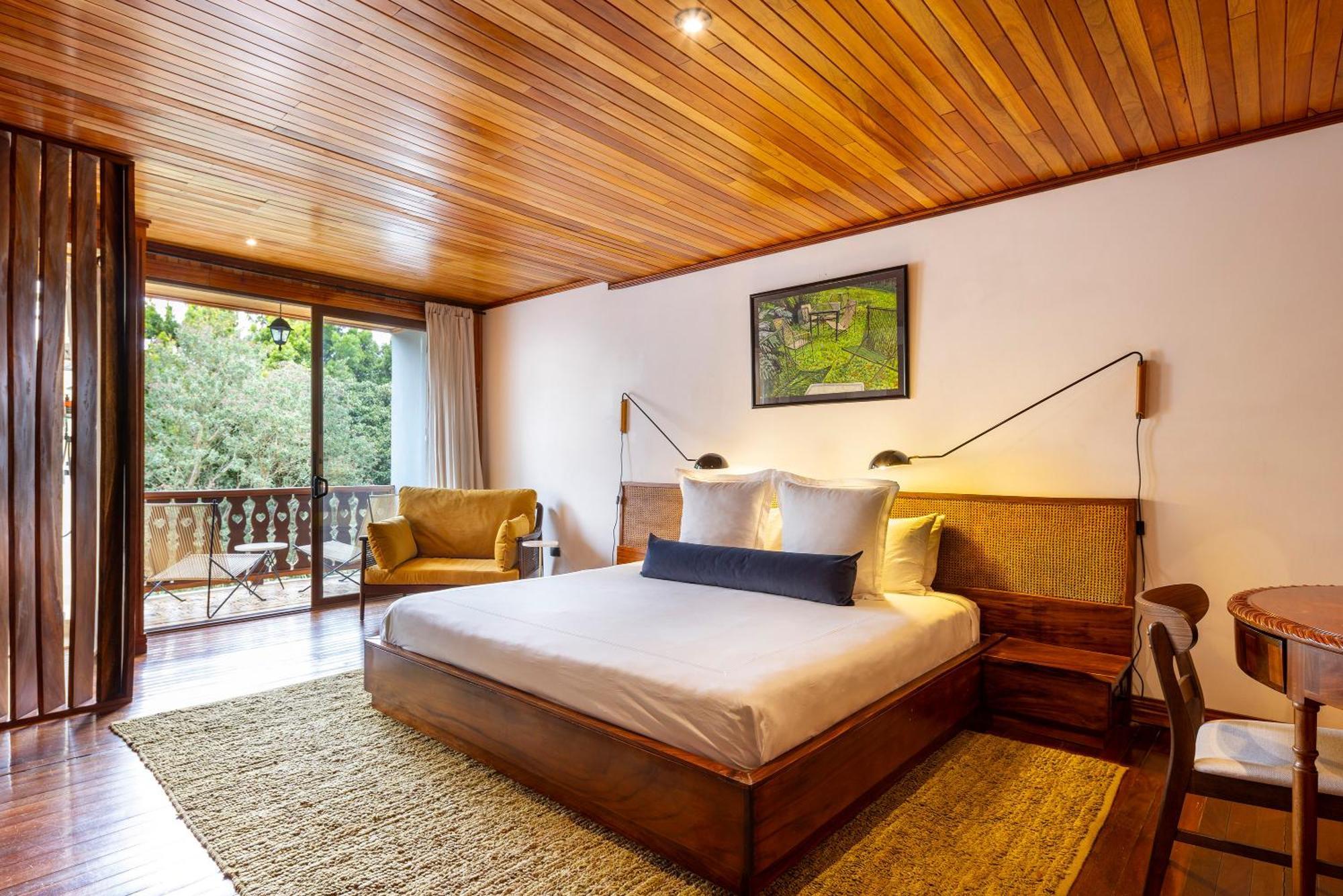 Forest,1594713943:JPEG