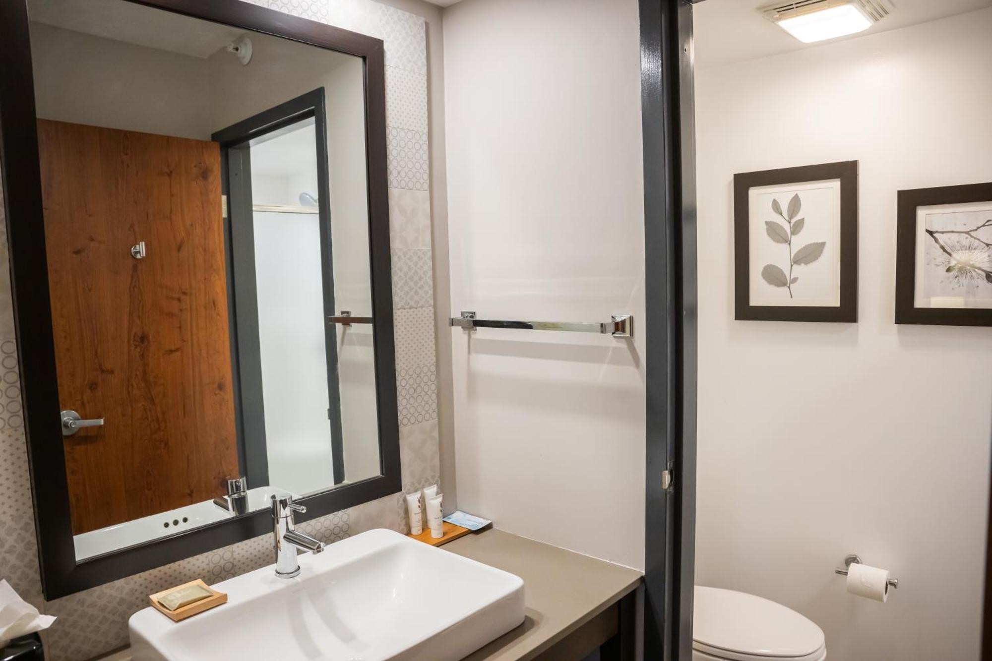 One-Bedroom King Suite - Non-Smoking