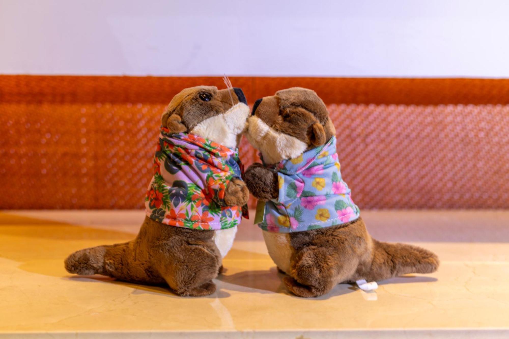 Permium King Bed Room,1636761908:JPEG