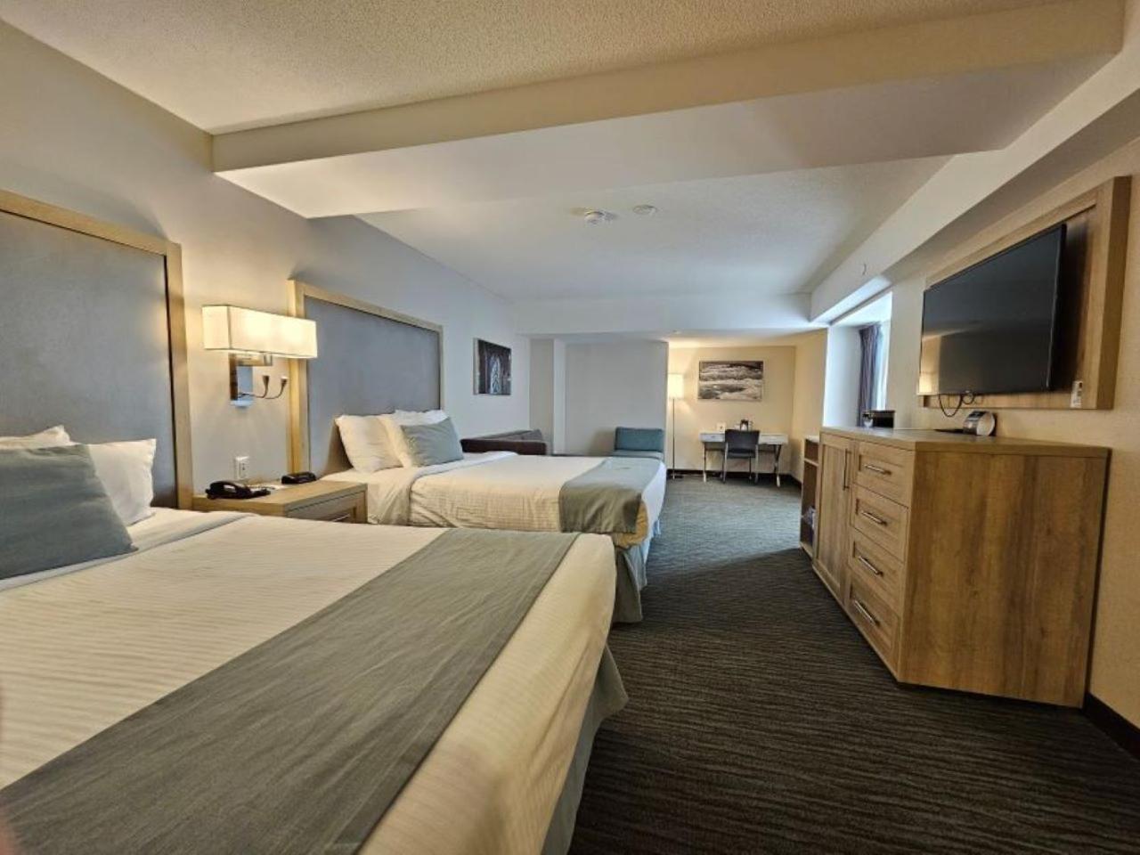 Studio Guest room, 2 Queen Beds & Sofa Bed,1656176716:JPEG