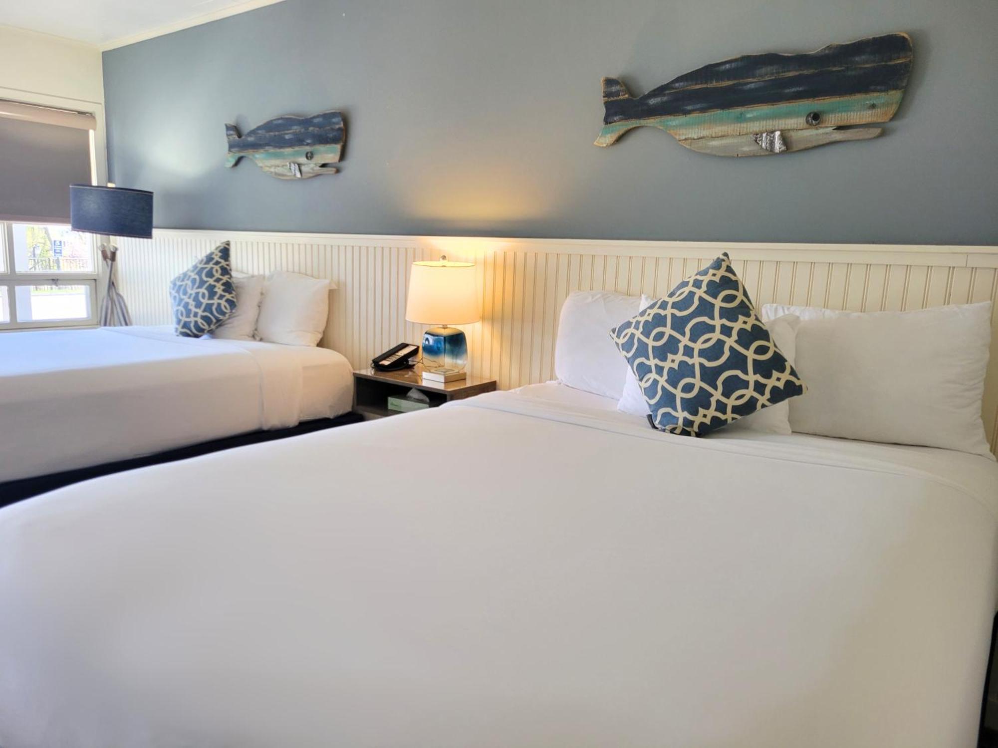 Double Queen,1679607660:JPEG