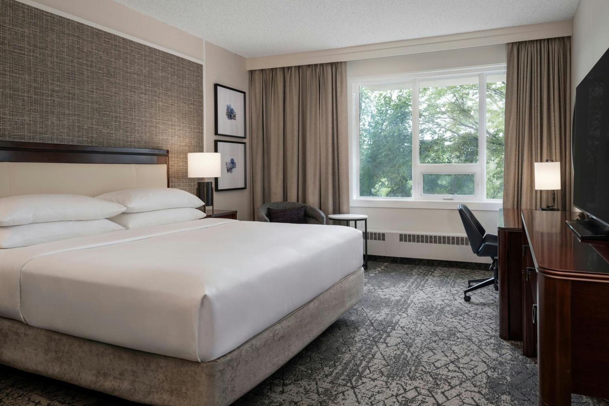 1 King Classic Guest Room,1730024860:JPEG