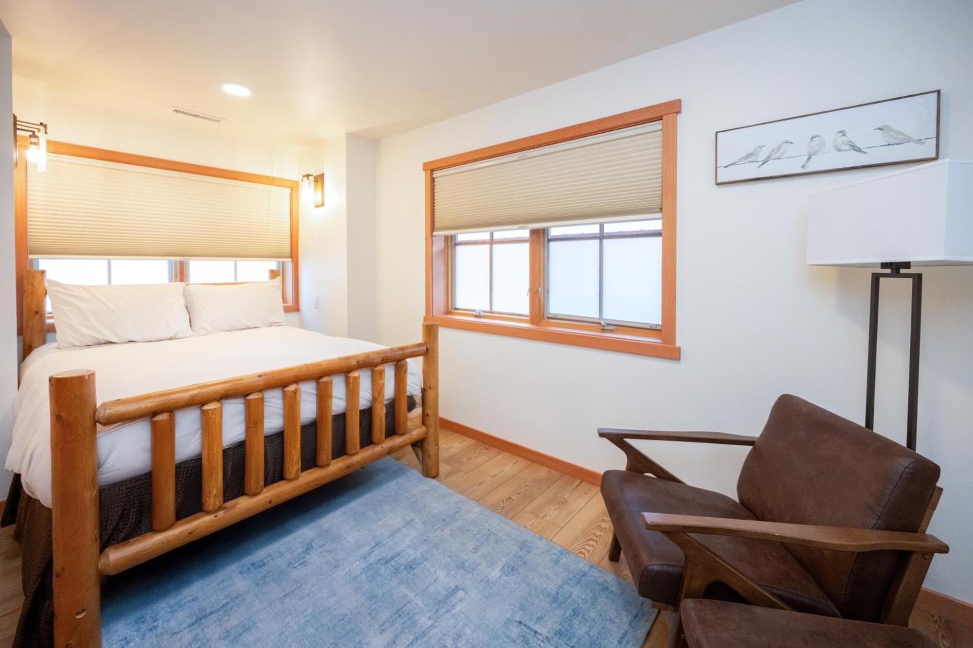 Stellar's Jay Cabin