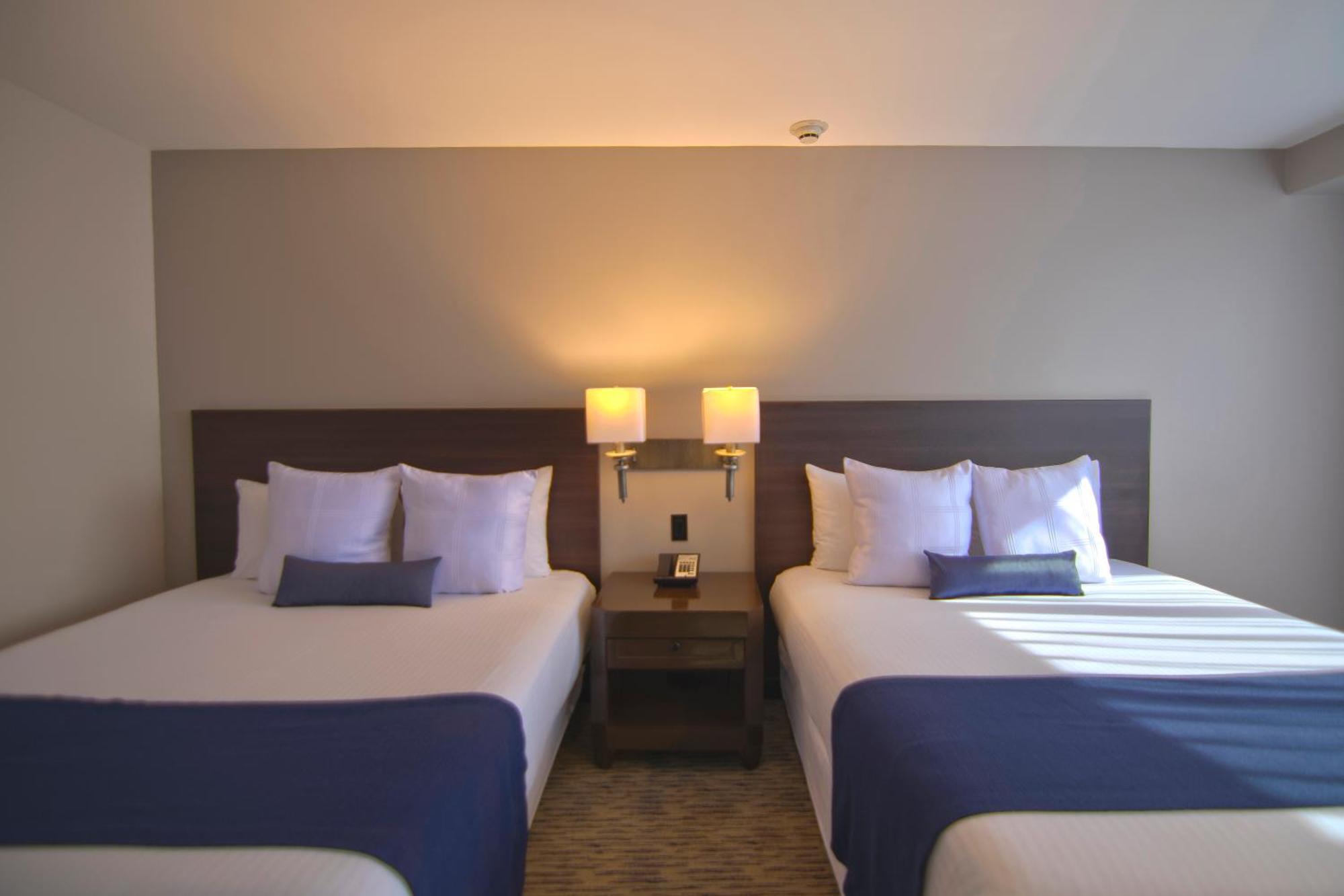 Executive Double Room with 2 Double Beds,1742759173:JPEG