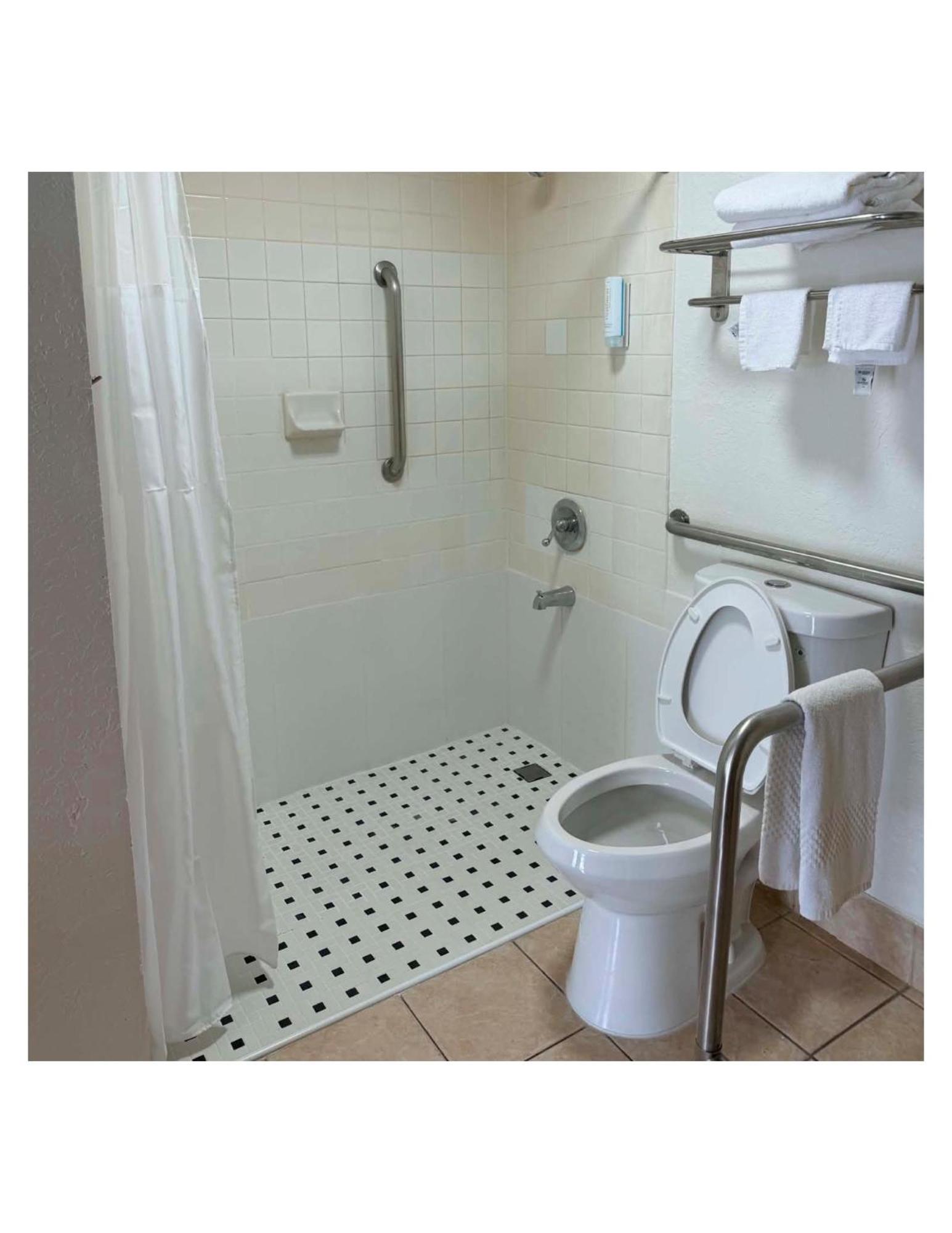 King Room Accessible or Non-Smoking