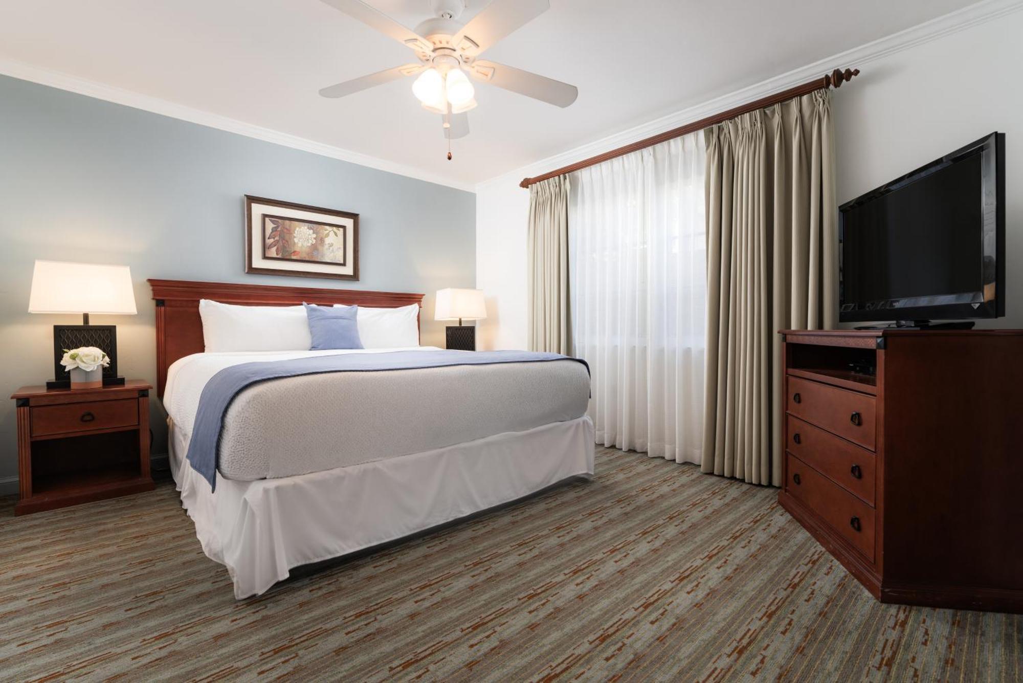 Dolphin Suite,1771538662:JPEG