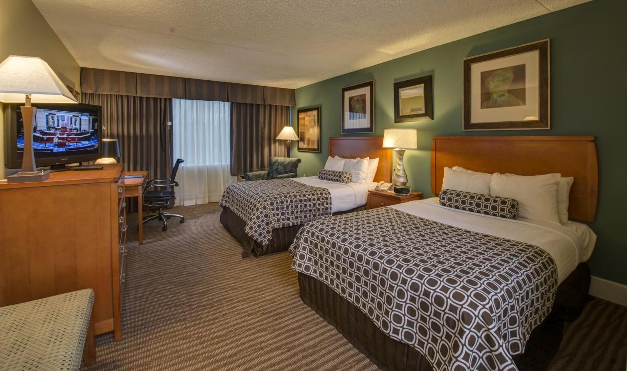 Standard Room - Two double beds,697943454:JPEG