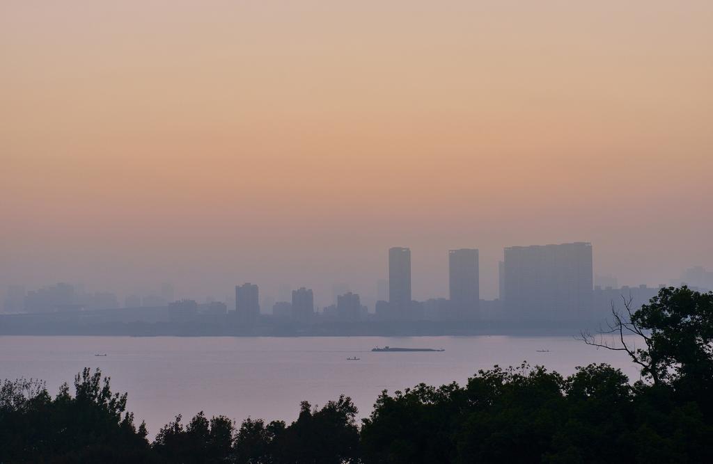 Permium View Two Bed Room,449315178:JPEG