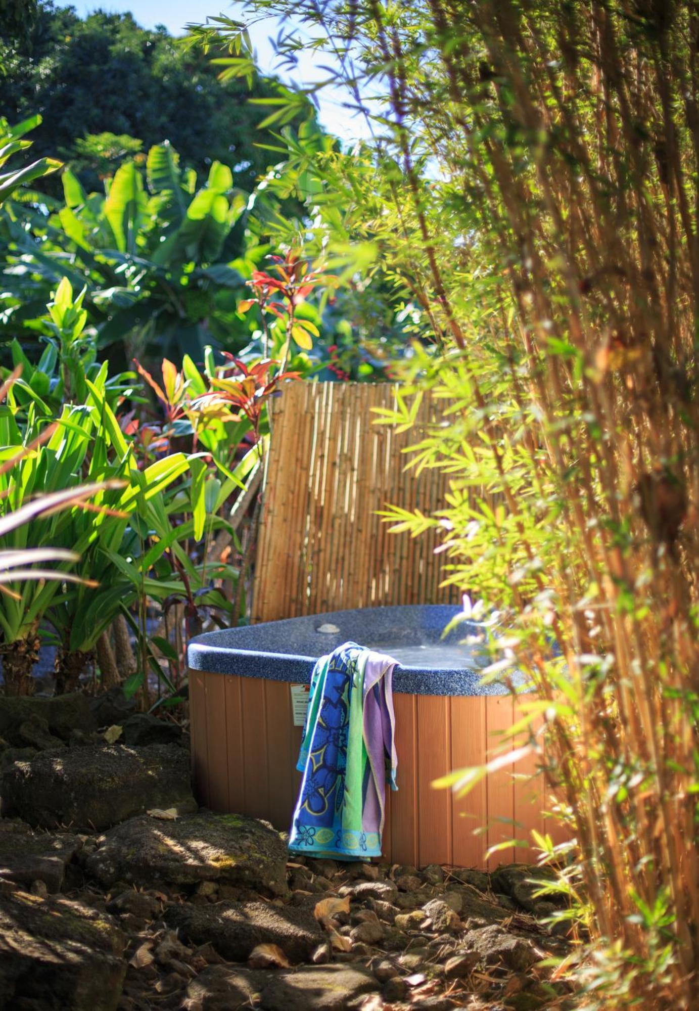 King Room with Garden View,678518883:JPEG