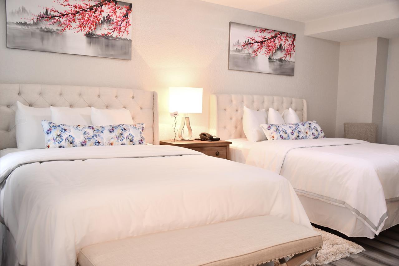 Standard Queen Room,934089493:JPEG