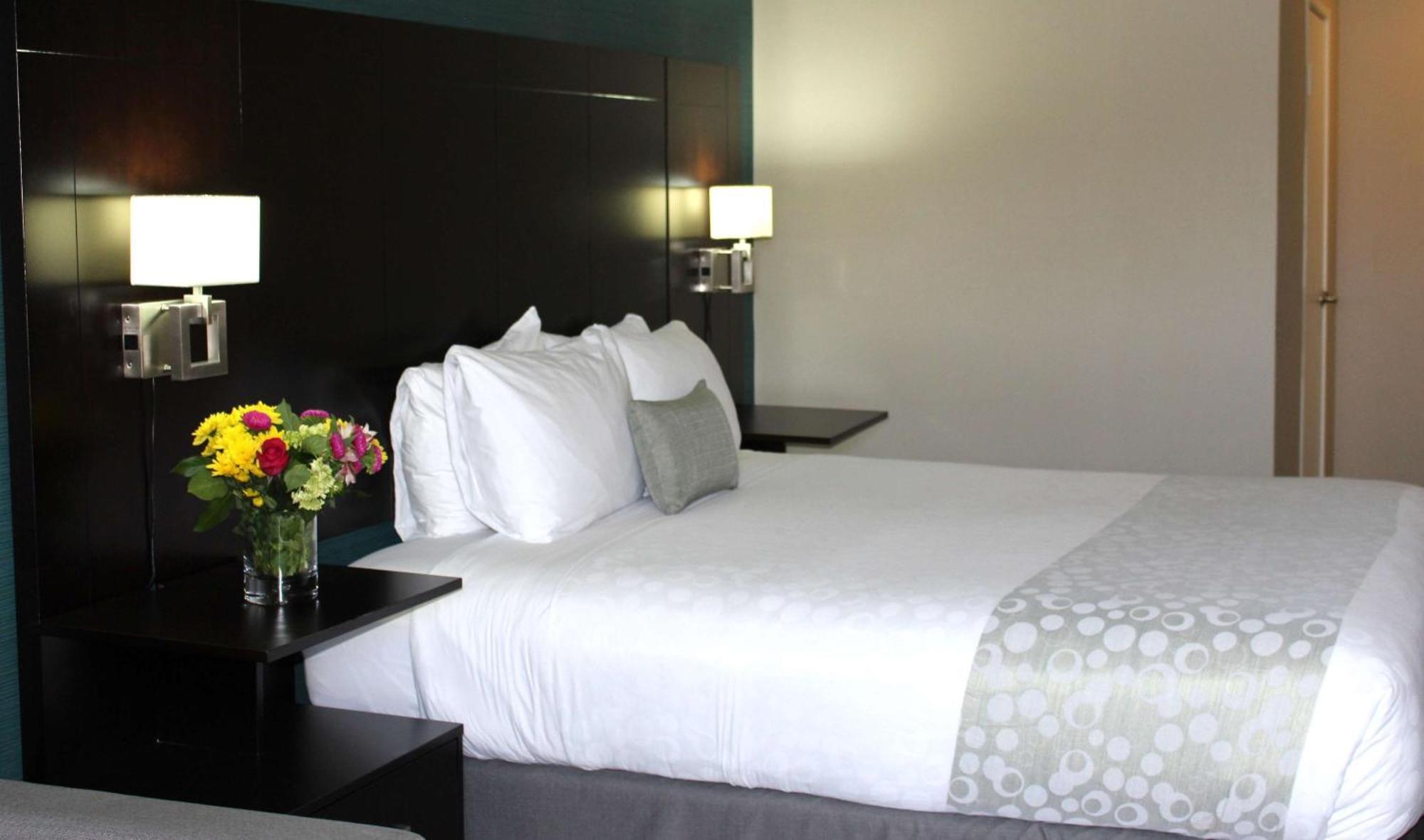 King Room with Balcony,713122246:JPEG