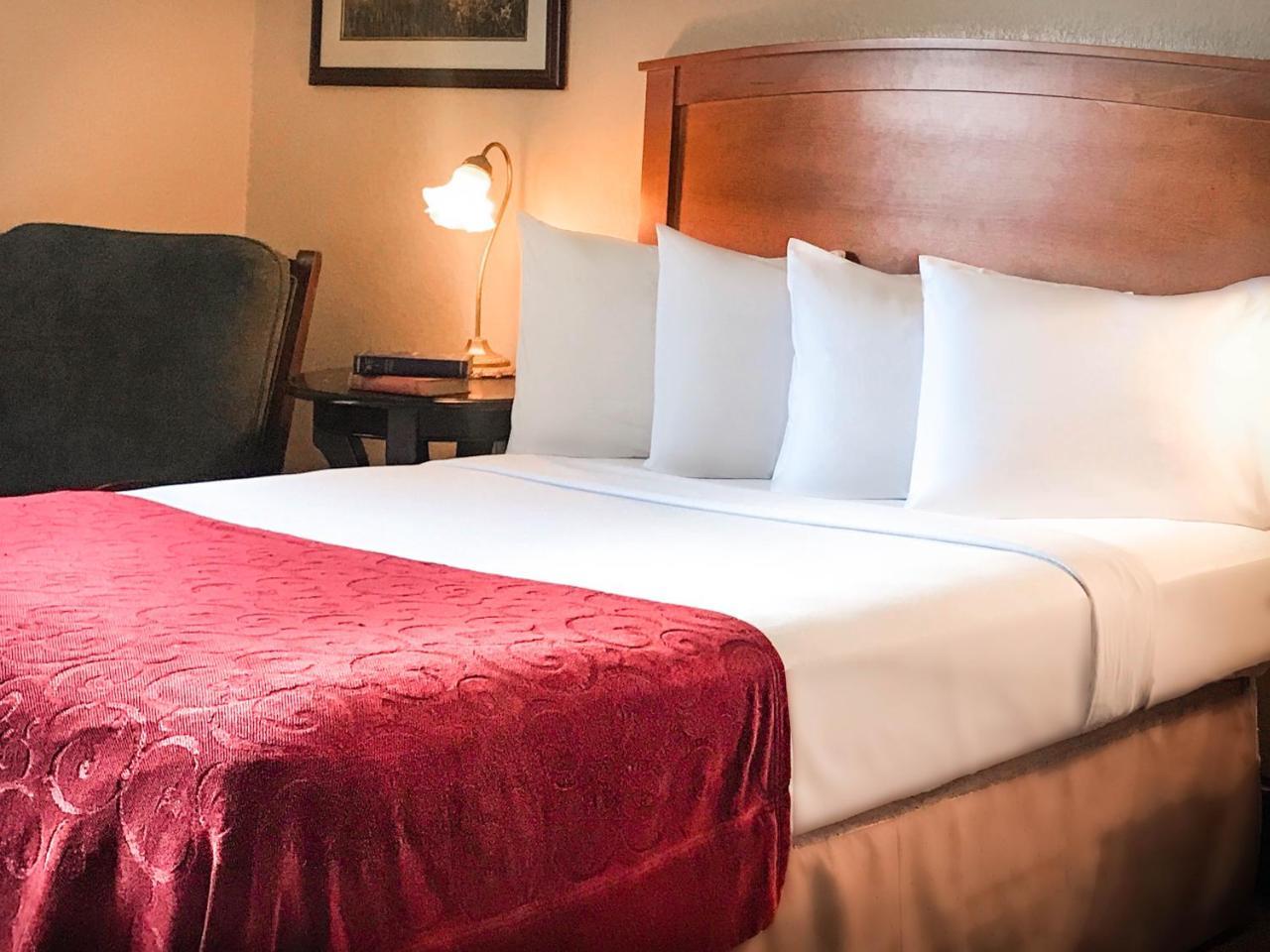 Queen Room,728598172:JPEG
