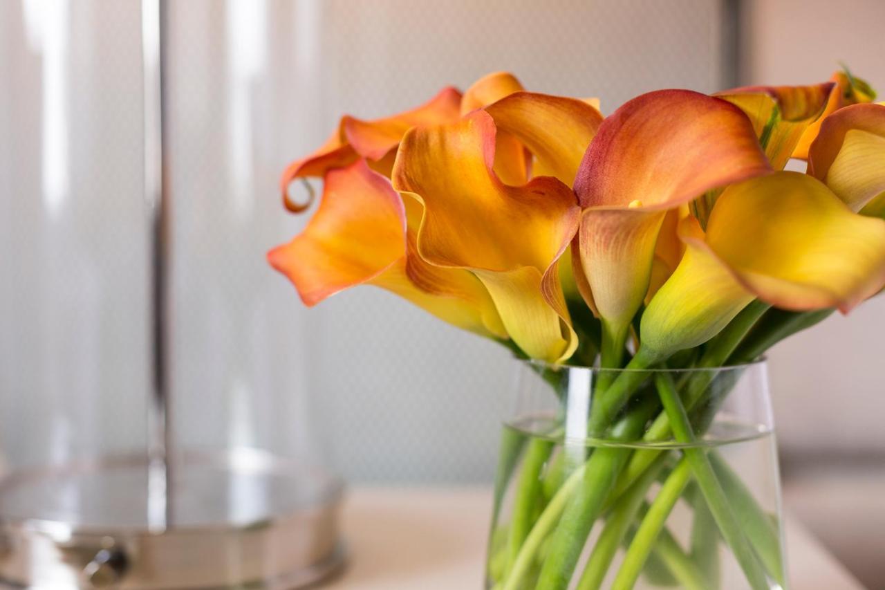 Premier King Room with City View,990814225:JPEG