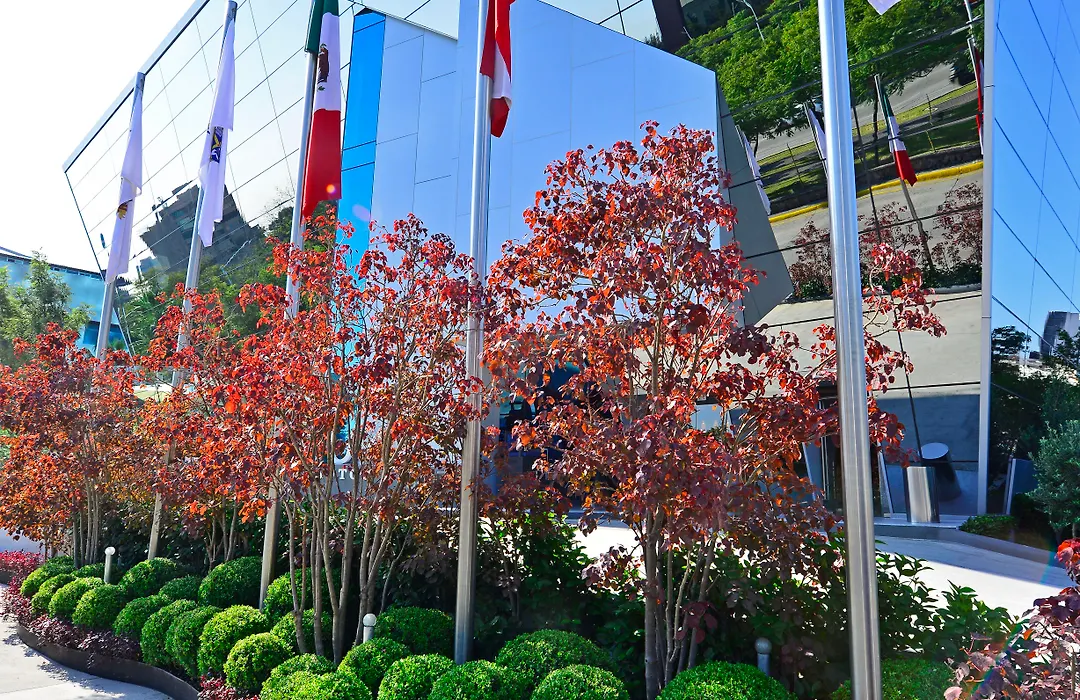 Baruk Guadalajara Hotel De Autor-1