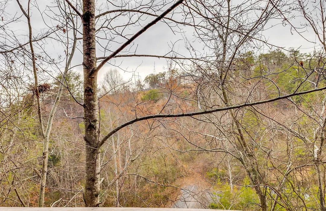 3 Mi To Dollywood: Pigeon Forge Resort Studio!-1