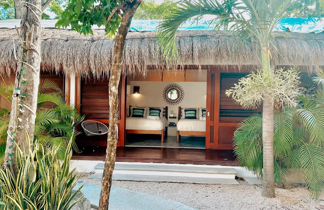 Mimosa Tulum-1
