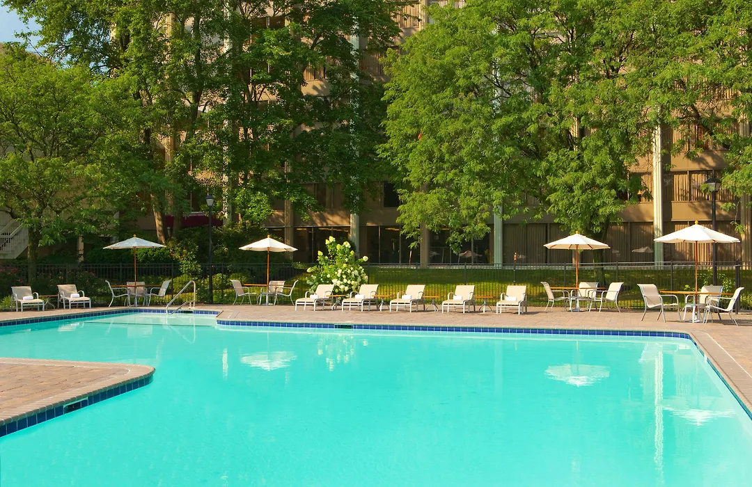 The Hotel Ml-1