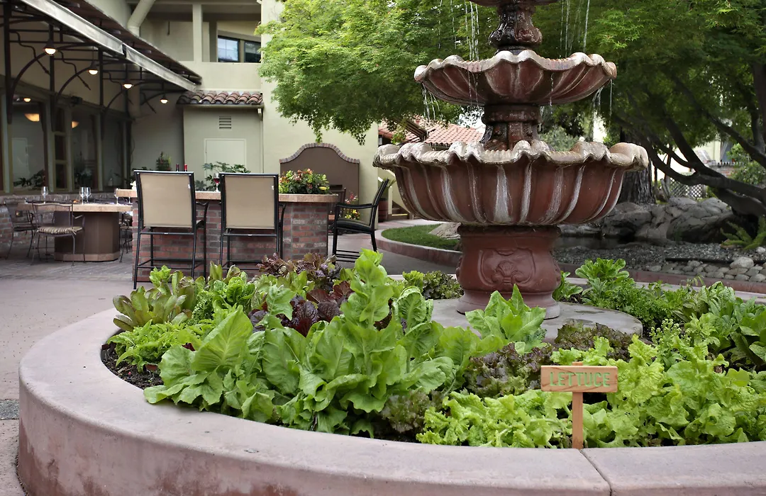 Paso Robles Inn-1