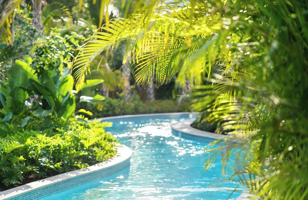The Ritz-Carlton Naples, Tiburon-1