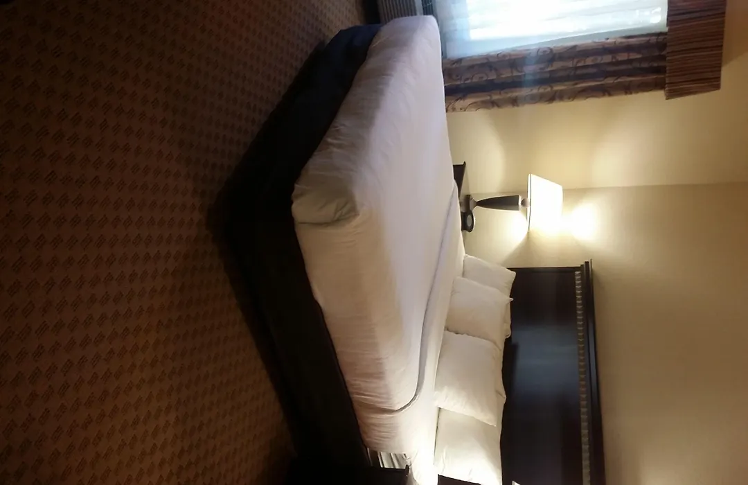Comfort Suites Houston Iah Airport - Beltway 8-1