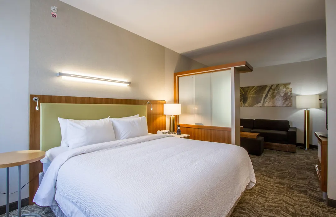 Springhill Suites By Marriott San Angelo-1