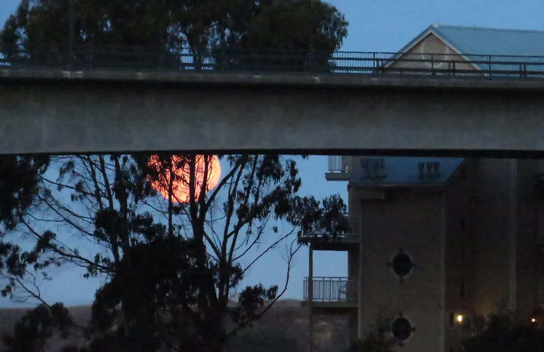 North Cliff Hotel-1