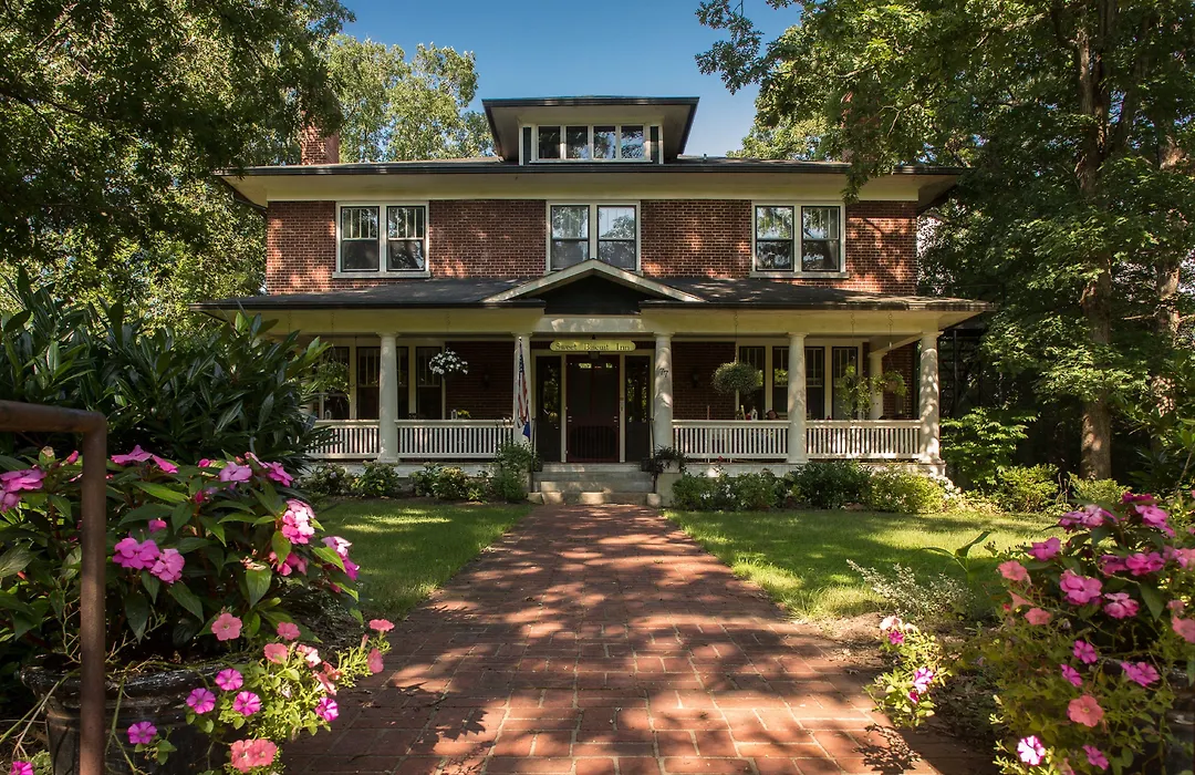 Sweet Biscuit Inn-1