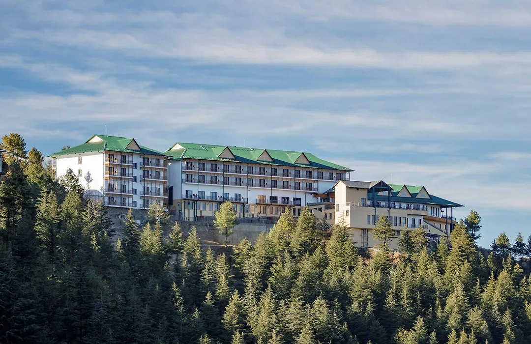 Taj Theog Resort & Spa Shimla-1