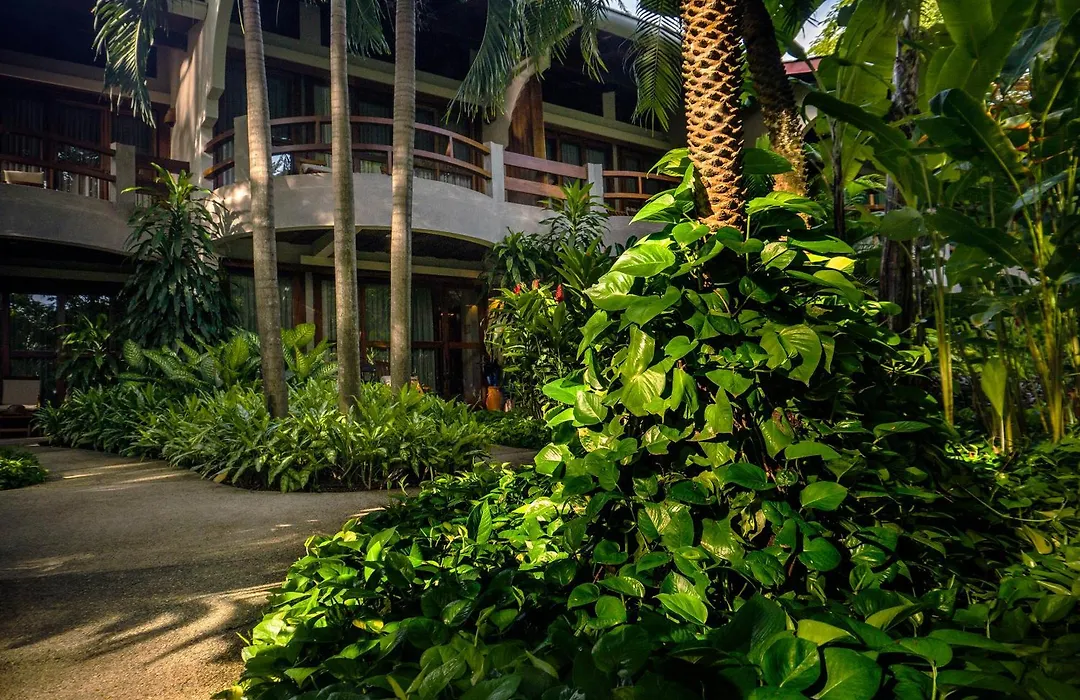 Capitan Suizo Beachfront Boutique Hotel-1