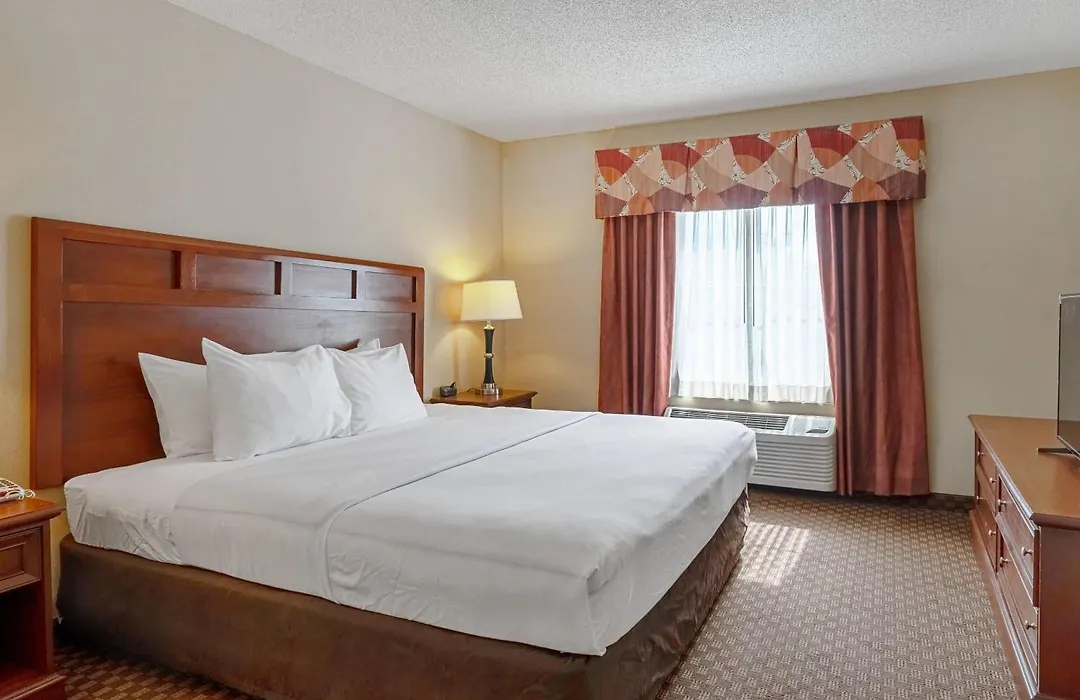 Quality Suites San Antonio Northeast-1