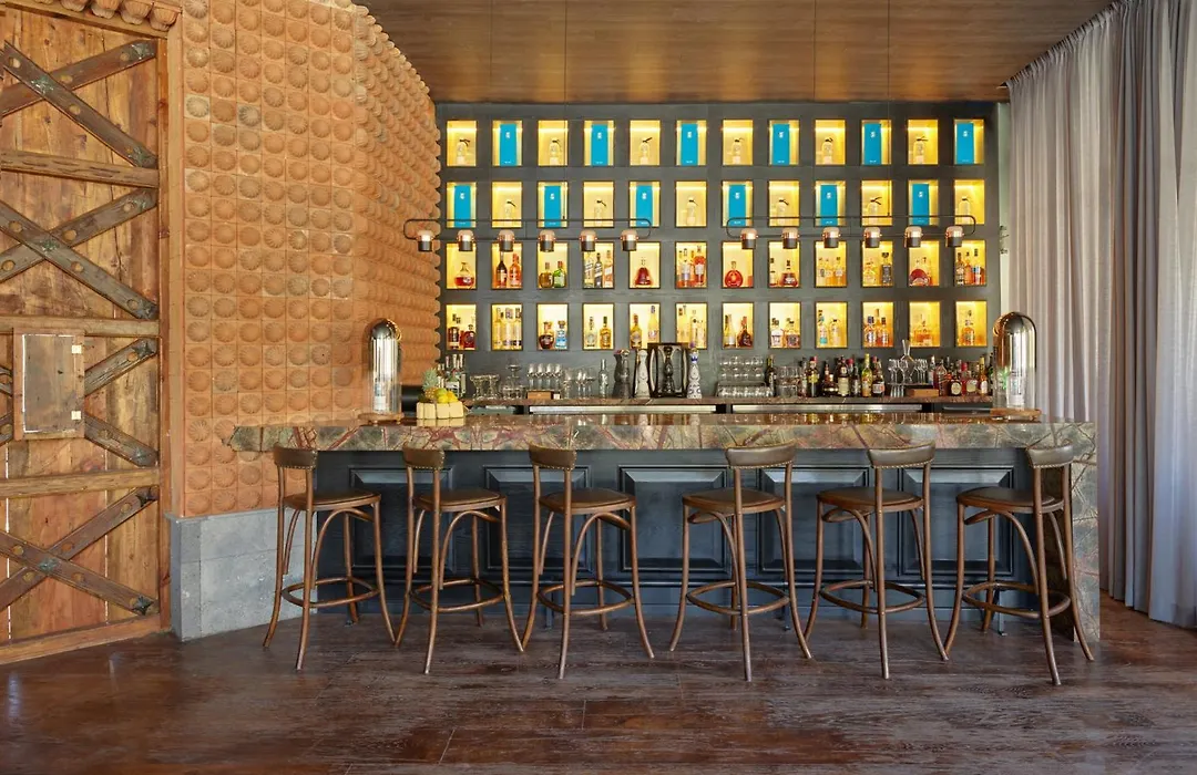 Live Aqua San Miguel De Allende (Adults Only)-1