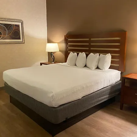 Wyndham Garden Grand Rapids Airport-2