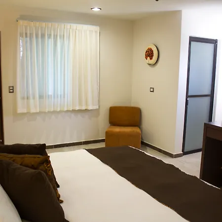 Casa Ticul Hotel Boutique - 5Th Ave (Adults Only)-2
